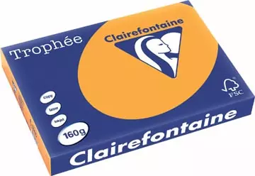 Een Clairefontaine Trophée Pastel, gekleurd papier, A3, 160 g, 250 vel, oranje koop je bij ShopXPress