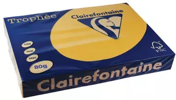 Een Clairefontaine Trophée Pastel, gekleurd papier, A3, 80 g, 500 vel, goudgeel koop je bij ShopXPress