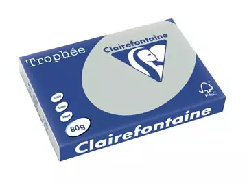 Een Clairefontaine Trophée Pastel, gekleurd papier, A3, 80 g, 500 vel, lichtgrijs koop je bij ShopXPress