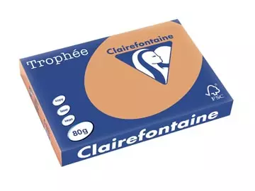 Een Clairefontaine Trophée Pastel, gekleurd papier, A3, 80 g, 500 vel, mokkabruin koop je bij ShopXPress