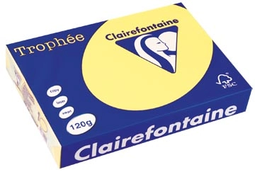 Een Clairefontaine Trophée Pastel, gekleurd papier, A4, 120 g, 250 vel, citroengeel koop je bij ShopXPress