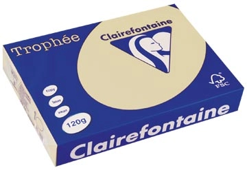 Een Clairefontaine Trophée Pastel, gekleurd papier, A4, 120 g, 250 vel, gems koop je bij ShopXPress