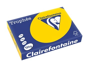 Een Clairefontaine Trophée Pastel, gekleurd papier, A4, 120 g, 250 vel, goudgeel koop je bij ShopXPress