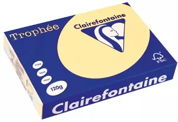 Een Clairefontaine Trophée Pastel, gekleurd papier, A4, 120 g, 250 vel, kanariegeel koop je bij ShopXPress