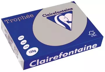 Een Clairefontaine Trophée Pastel, gekleurd papier, A4, 120 g, 250 vel, lichtgrijs koop je bij ShopXPress