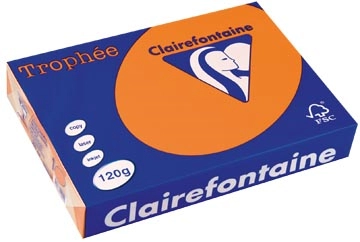 Een Clairefontaine Trophée Pastel, gekleurd papier, A4, 120 g, 250 vel, oranje koop je bij ShopXPress