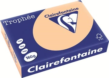 Een Clairefontaine Trophée Pastel, gekleurd papier, A4, 160 g, 250 vel, abrikoos koop je bij ShopXPress