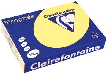 Een Clairefontaine Trophée Pastel, gekleurd papier, A4, 160 g, 250 vel, citroengeel koop je bij ShopXPress