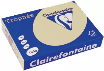 Een Clairefontaine Trophée Pastel, gekleurd papier, A4, 160 g, 250 vel, gems koop je bij ShopXPress