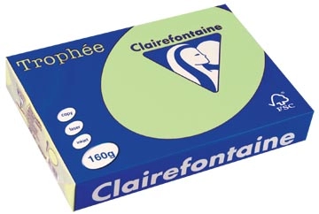 Een Clairefontaine Trophée Pastel, gekleurd papier, A4, 160 g, 250 vel, groen koop je bij ShopXPress