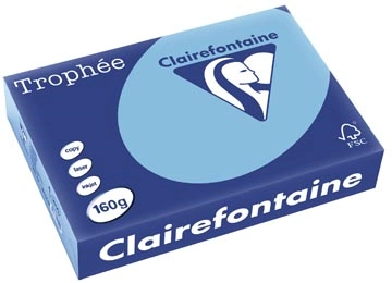 Een Clairefontaine Trophée Pastel, gekleurd papier, A4, 160 g, 250 vel, lavendelblauw koop je bij ShopXPress