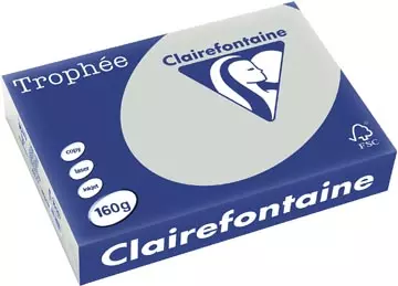 Een Clairefontaine Trophée Pastel, gekleurd papier, A4, 160 g, 250 vel, lichtgrijs koop je bij ShopXPress