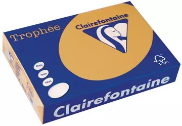 Een Clairefontaine Trophée Pastel, gekleurd papier, A4, 160 g, 250 vel, mokkabruin koop je bij ShopXPress