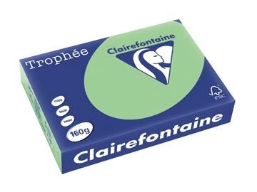 Een Clairefontaine Trophée Pastel, gekleurd papier, A4, 160 g, 250 vel, natuurgroen koop je bij ShopXPress