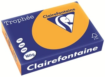 Een Clairefontaine Trophée Pastel, gekleurd papier, A4, 160 g, 250 vel, oranje koop je bij ShopXPress