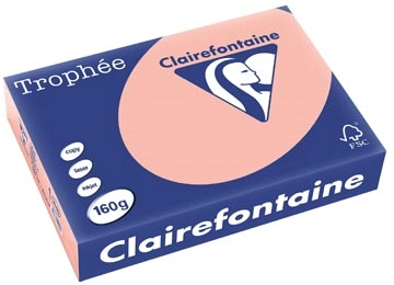 Een Clairefontaine Trophée Pastel, gekleurd papier, A4, 160 g, 250 vel, perzik koop je bij ShopXPress