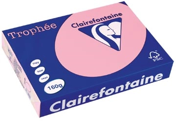 Een Clairefontaine Trophée Pastel, gekleurd papier, A4, 160 g, 250 vel, roze koop je bij ShopXPress