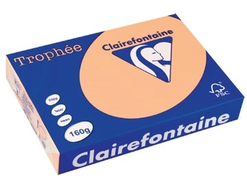 Een Clairefontaine Trophée Pastel, gekleurd papier, A4, 160 g, 250 vel, zalm koop je bij ShopXPress