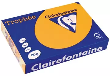 Een Clairefontaine Trophée Pastel, gekleurd papier, A4, 80 g, 500 vel, goudgeel koop je bij ShopXPress