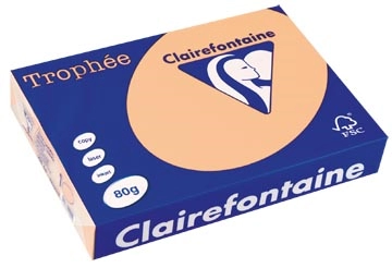 Een Clairefontaine Trophée gekleurd papier, A4, 80 g, 500 vel, zalm koop je bij ShopXPress