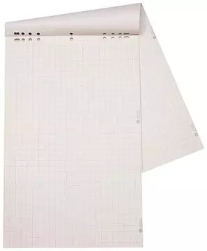 Een Dahle flipchartpapier, ft 68 x 95 cm, geruit, rol van 20 vel koop je bij ShopXPress