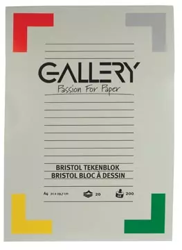 Een Gallery Bristol tekenblok, ft 21 x 29,7 cm , A4, 200 g m², 20 vel koop je bij ShopXPress