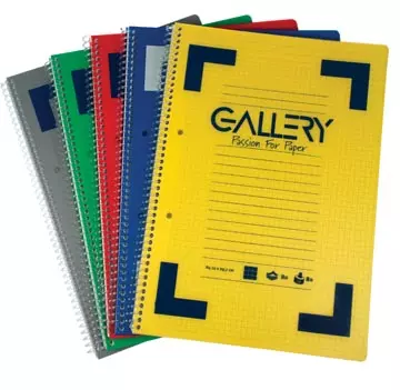 Een Gallery Traditional spiraalschrift ft A4, gelijnd, geassorteerde kleuren, 160 bladzijden koop je bij ShopXPress