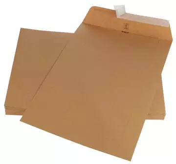 Een Gallery enveloppen ft 250 x 353 mm, stripsluiting, bruine kraft, doos van 250 stuks koop je bij ShopXPress