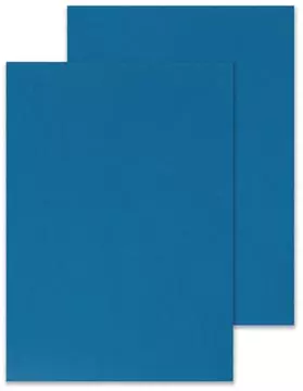 Een Q-CONNECT dekblad A4 leder 250 grams 100 stuks blauw koop je bij ShopXPress