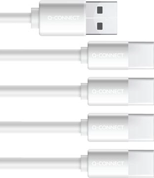 Een Q-CONNECT USB-C herlaadbare batterijen AA, blister van 4 stuks koop je bij Supplierz BV