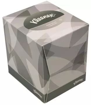 Een Kleenex papieren zakdoeken, 2-laags, 90 vellen koop je bij ShopXPress