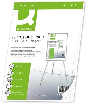 Sie können einen Q-CONNECT flip-overblok, ft 65 x 98 cm, 70 g/m², geruit, 50 vel bei Supplierz BV kaufen