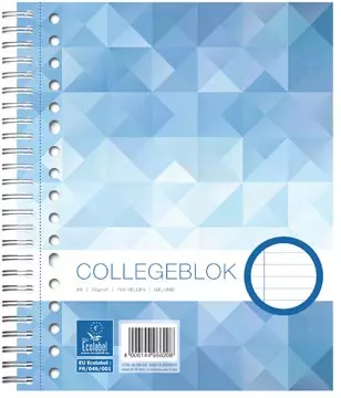 Een Work Collegeblok, ft A5, 17-gaats, gelijnd, 160 bladzijden koop je bij ShopXPress