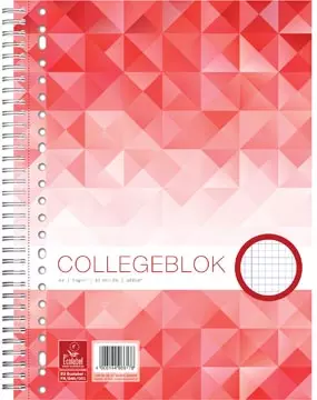 Een Work collegeblok A4 geruit 80 blz, 23-gaats koop je bij ShopXPress