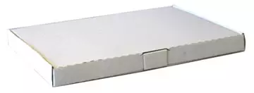 Een verzenddoos, wit, ft 31 x 22 x 2,5 cm koop je bij ShopXPress