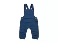 Baby Rocks Denim Dungarees