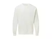 Crew Neck Sweatshirt Men