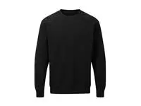 Raglan Sweatshirt Men