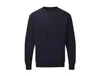 Raglan Sweatshirt Men