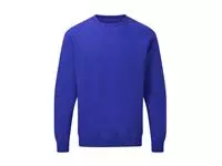 Raglan Sweatshirt Men