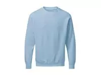 Raglan Sweatshirt Men