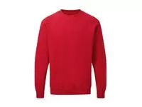 Raglan Sweatshirt Men