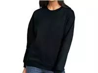 Softstyle Midweight Fleece Adult Crewneck