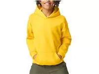 Softstyle Midweight Fleece Youth Hoodie