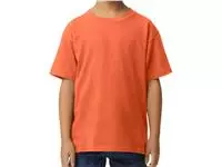 Softstyle Midweight Youth T-Shirt