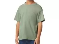 Softstyle Midweight Youth T-Shirt