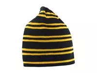 Team Reversible Beanie