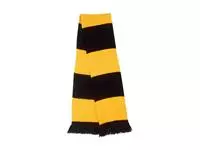 Team Scarf