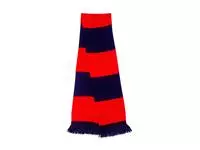 Team Scarf