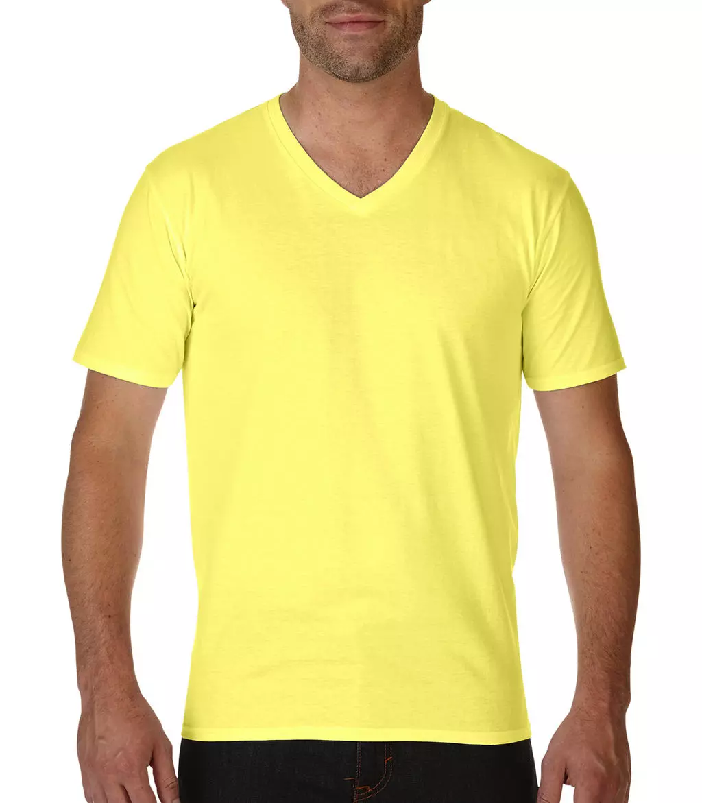 Premium Cotton Adult V-Neck T-Shirt